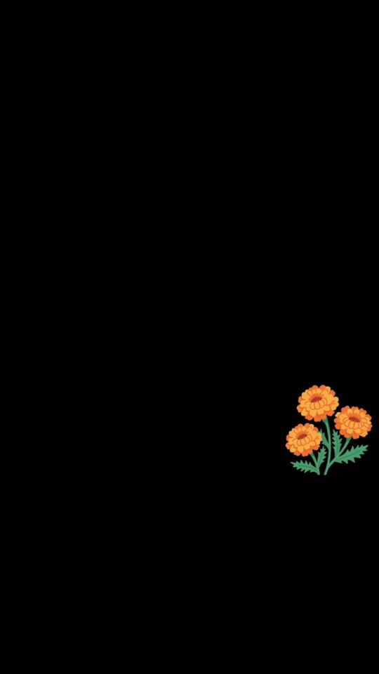 TikTok video thumbnail by larrearossi