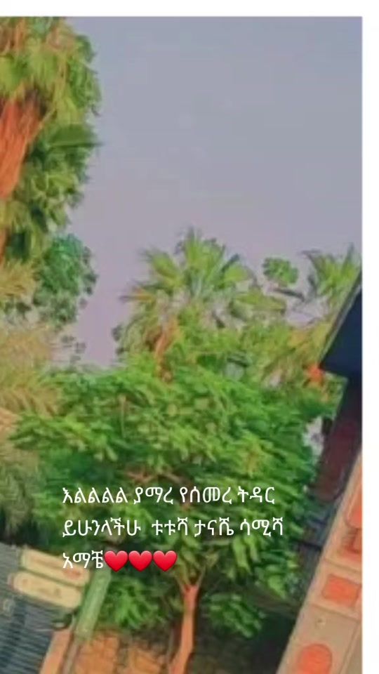 TikTok video thumbnail by seblewogle
