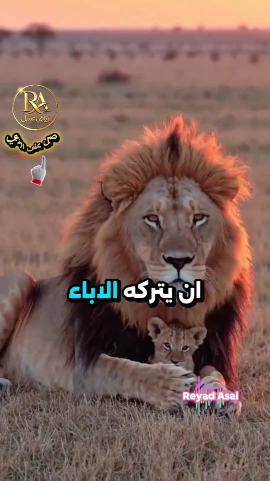 TikTok video thumbnail by resala.g