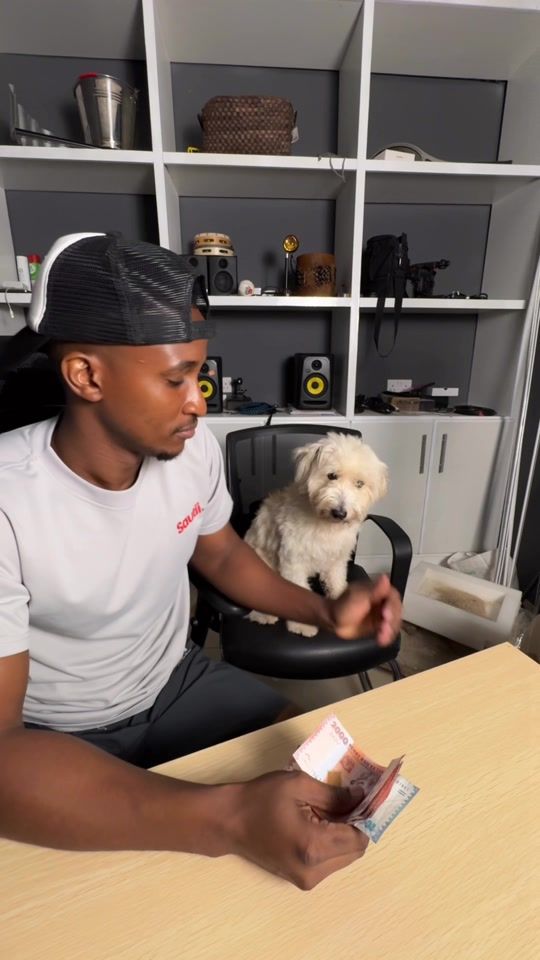 TikTok video thumbnail by itsalkeys
