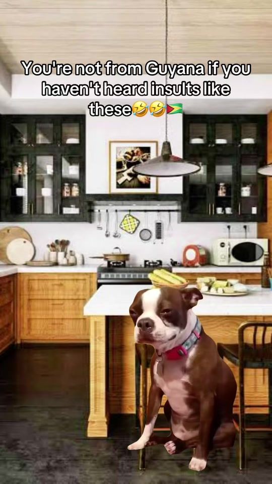 TikTok video thumbnail by originalmichael0
