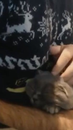 TikTok video thumbnail by picafreesa_
