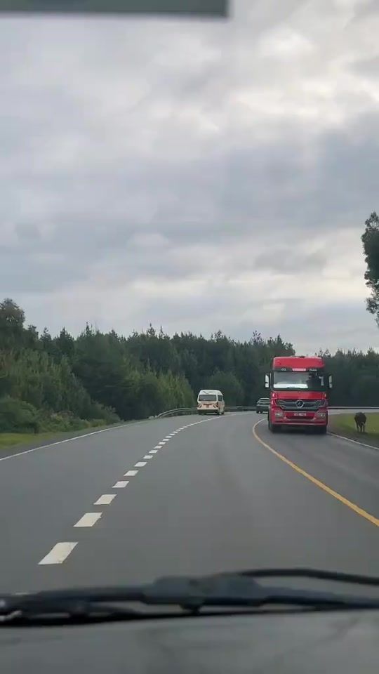 TikTok video thumbnail by almasiactivate