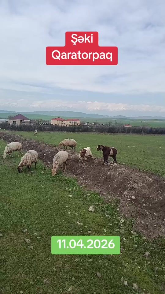 TikTok video thumbnail by ilkin.4141