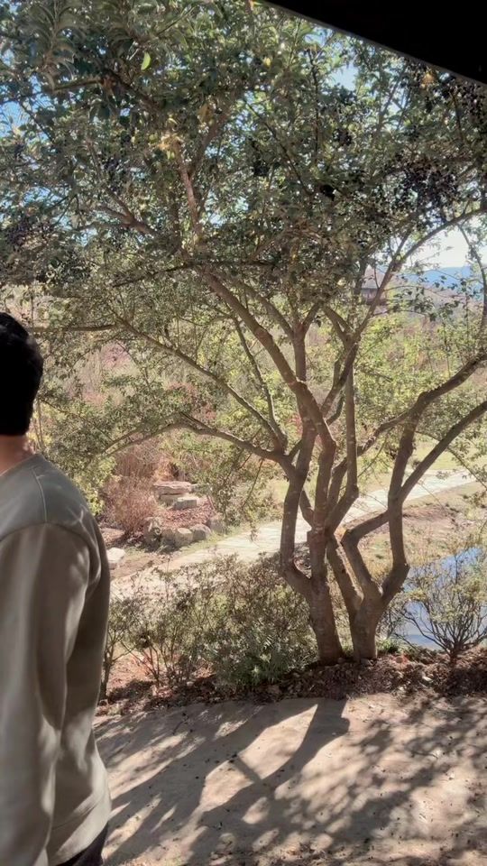 TikTok video thumbnail by soe_nam01