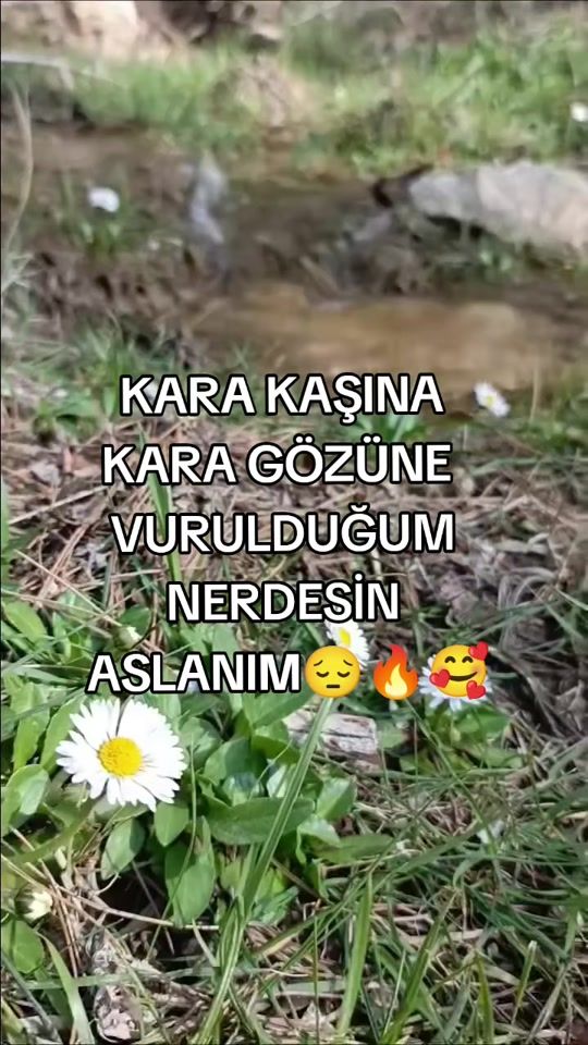 TikTok video thumbnail by zonguldak__00