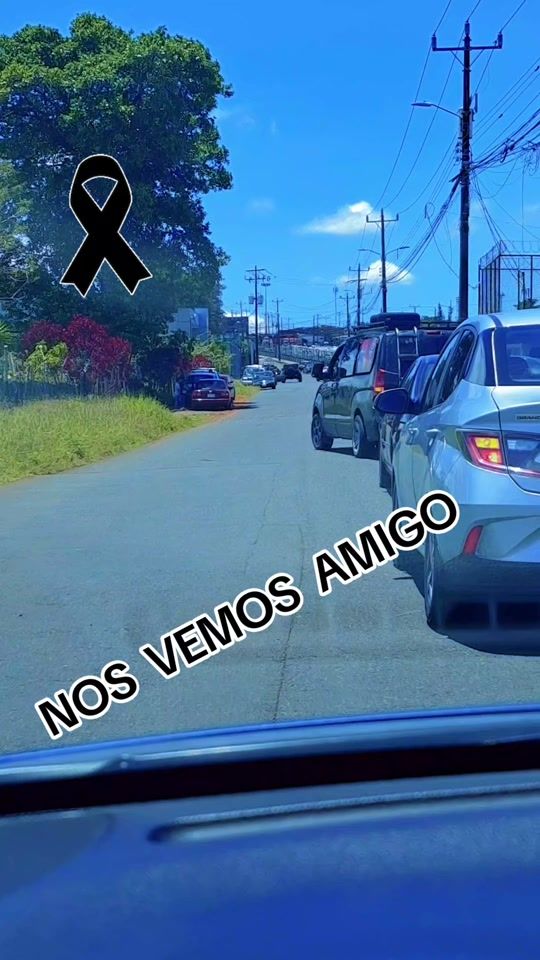 TikTok video thumbnail by ingridnumerologia