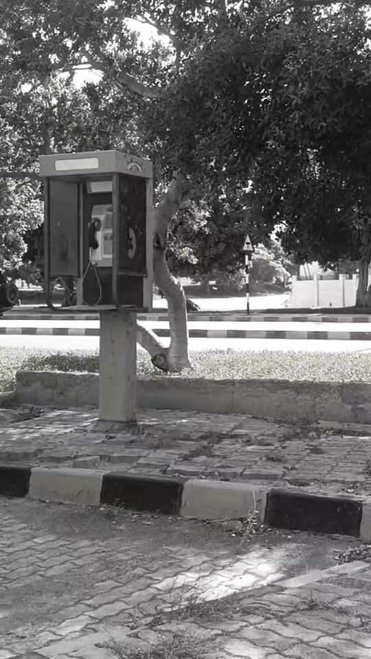 TikTok video thumbnail by said___3344