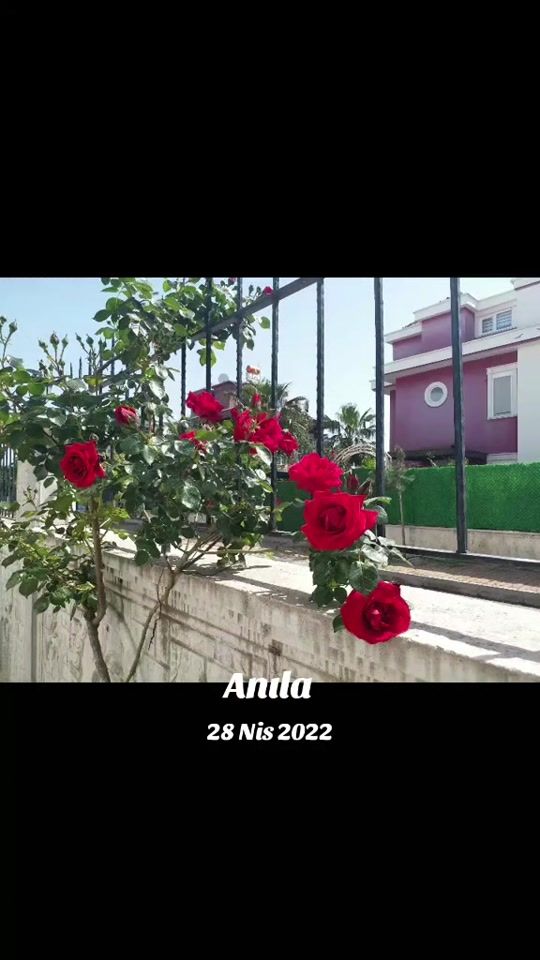 TikTok video thumbnail by ferdi_tayfur01