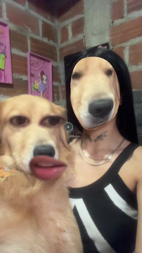 TikTok video thumbnail by luisa_vas.15