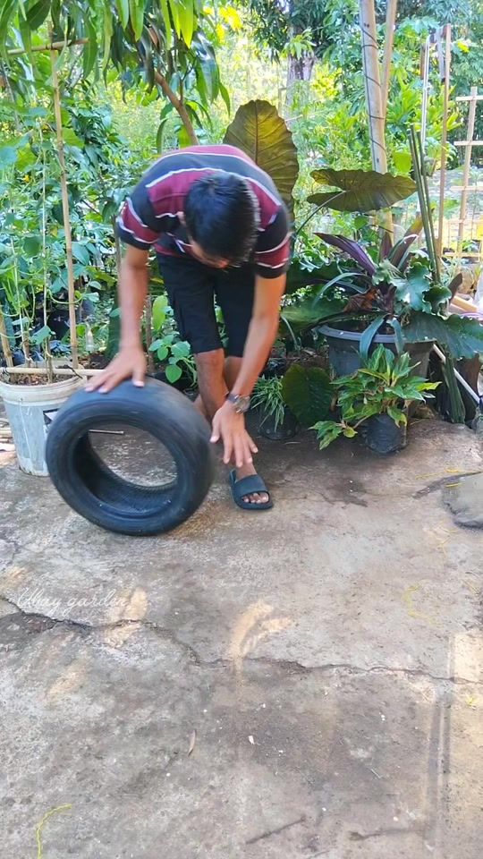 TikTok video thumbnail by ubay.garden