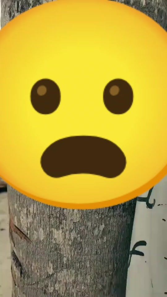 TikTok video thumbnail by simbananouyaztsid