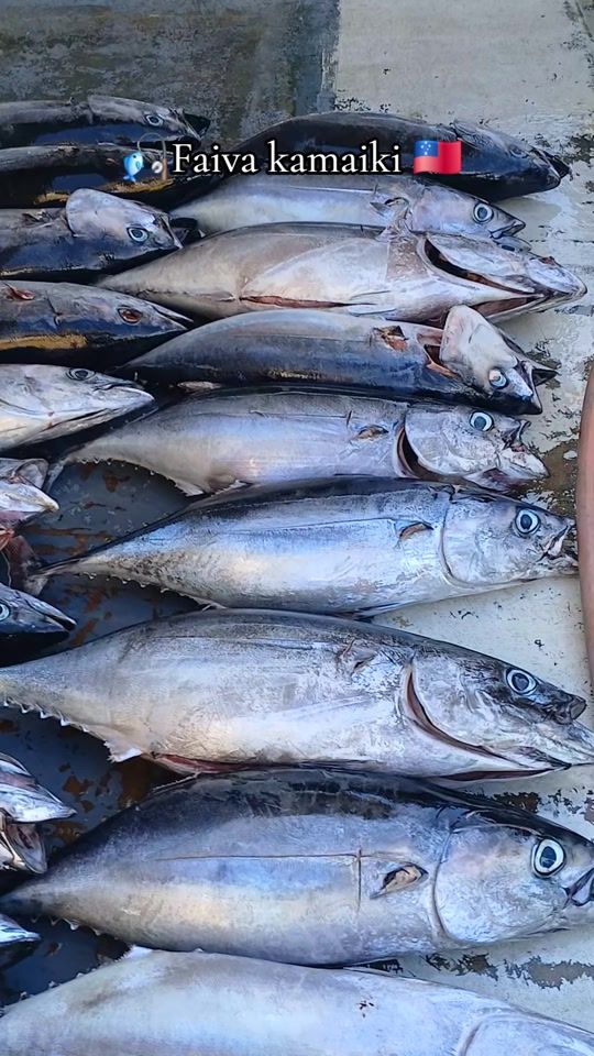 TikTok video thumbnail by muainafaataape