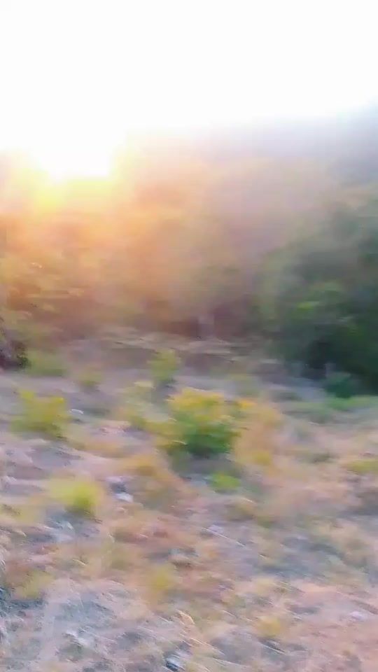 TikTok video thumbnail by manuel_rodriguez2025