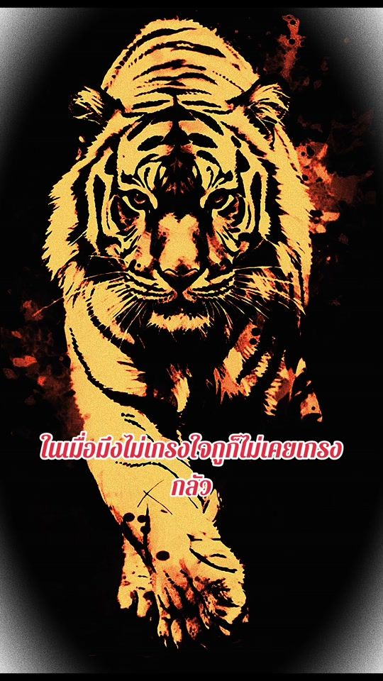 TikTok video thumbnail by tikkatok_148