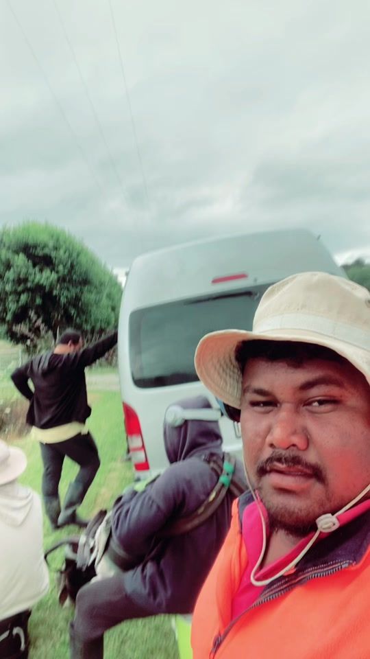 TikTok video thumbnail by pepedecember20
