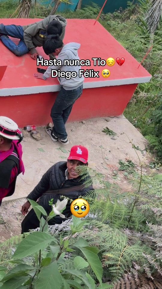 TikTok video thumbnail by matildafelix4