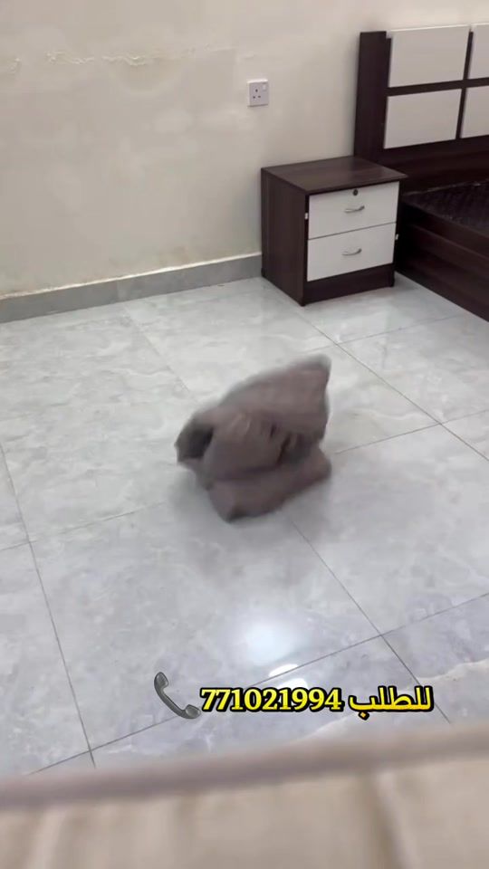 TikTok video thumbnail by runaq922