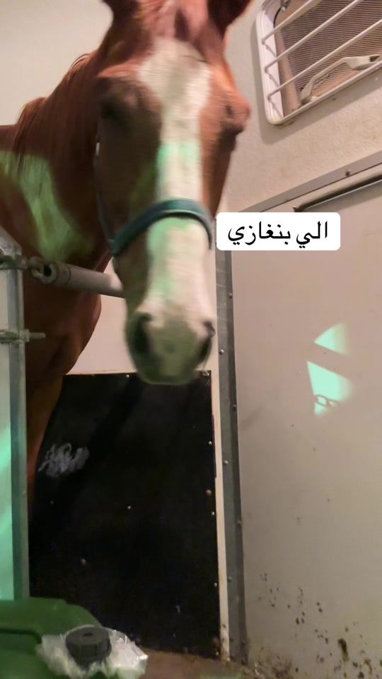 TikTok video thumbnail by akram_0218