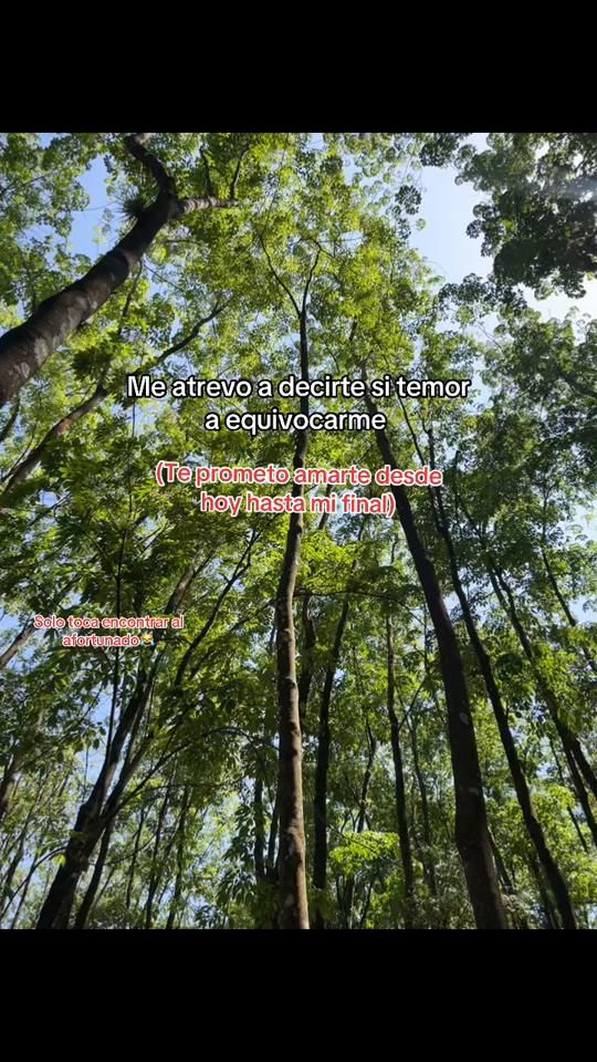 TikTok video thumbnail by shakycm
