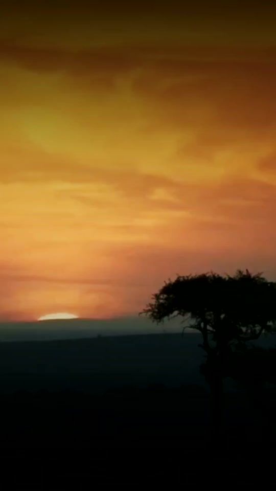 TikTok video thumbnail by music4.stts