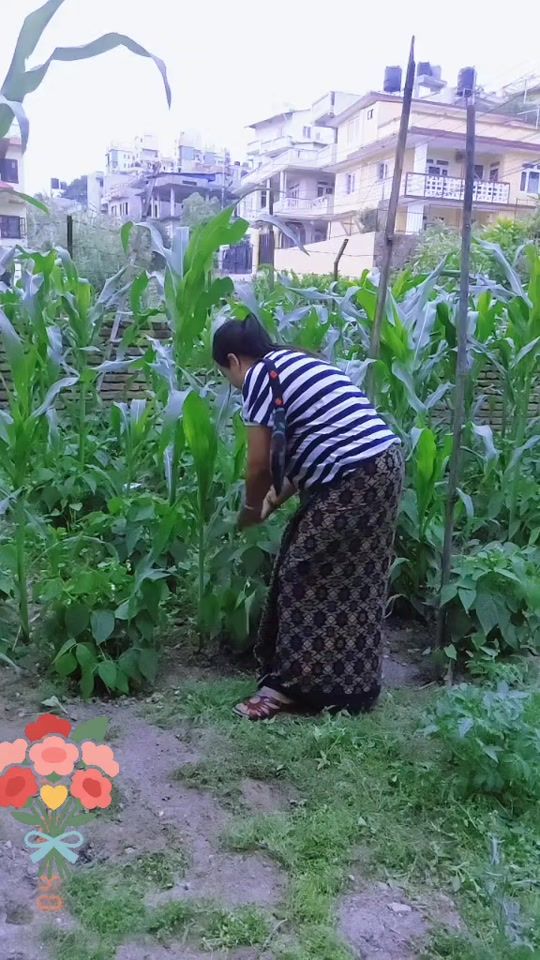 TikTok video thumbnail by ranadiyamagar