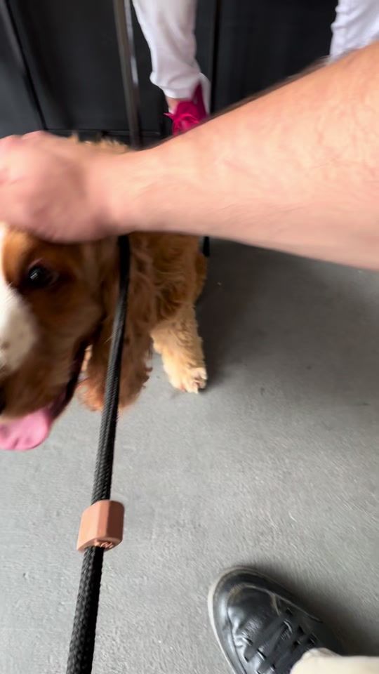 TikTok video thumbnail by oborjaa