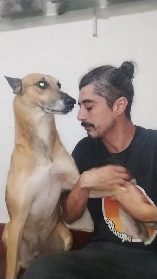 TikTok video thumbnail by enzodoliri