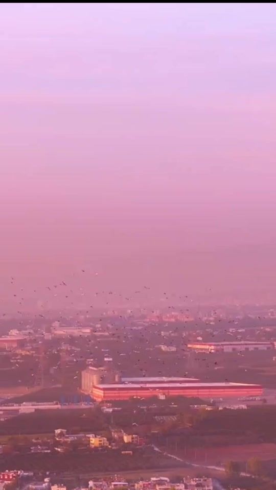 TikTok video thumbnail by terminat3838