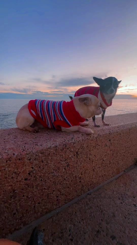 TikTok video thumbnail by adriano_uy
