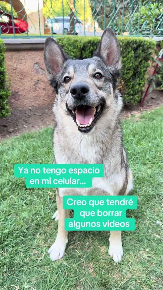 TikTok video thumbnail by dan.balam