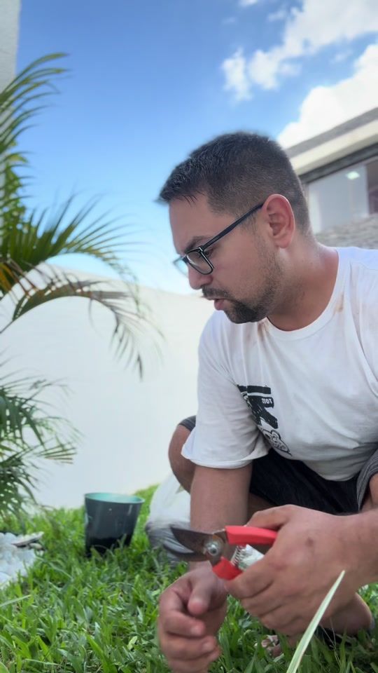 TikTok video thumbnail by fernandoeidok