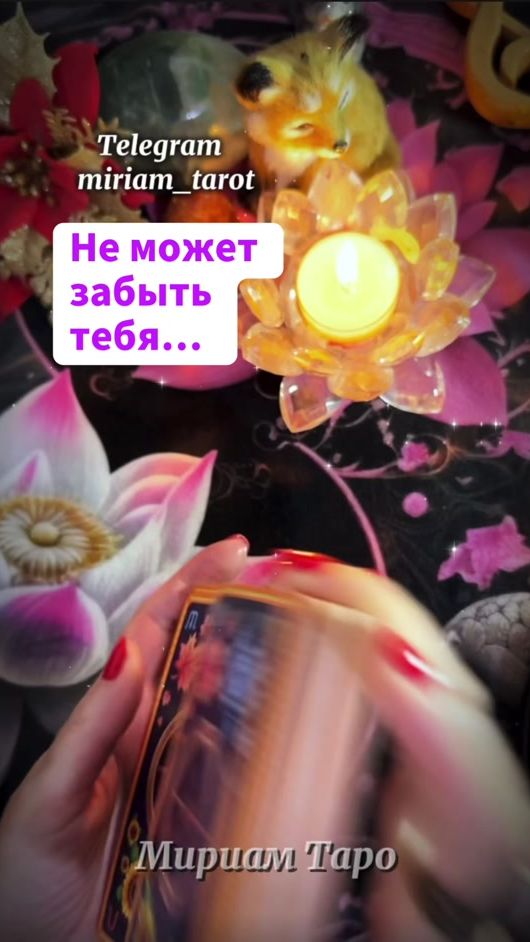 TikTok video thumbnail by miriam_tarot