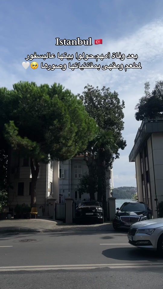 TikTok video thumbnail by ___reqo