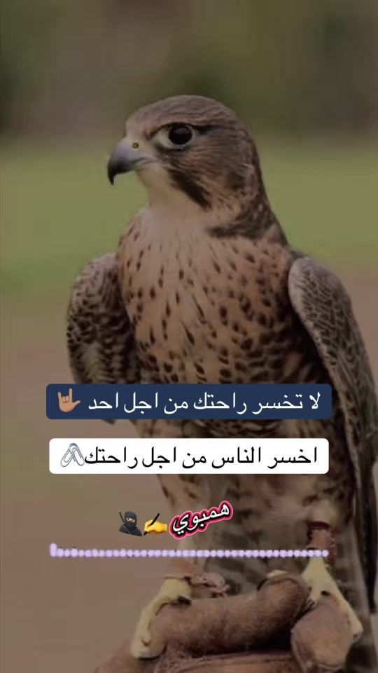 TikTok video thumbnail by httpsvt.tiktok.comzsmva8