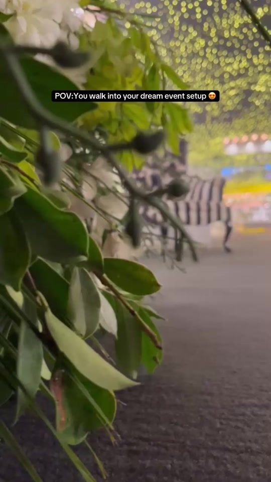 TikTok video thumbnail by pwc.5