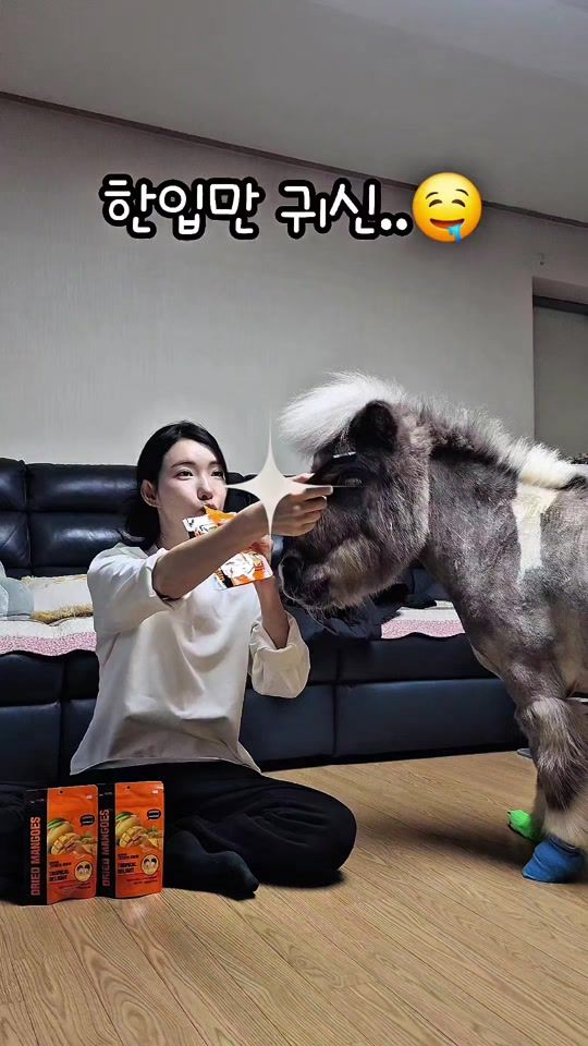 TikTok video thumbnail by wallytherapy