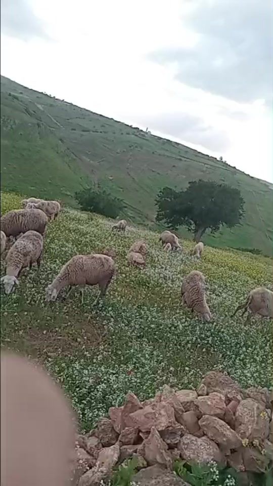 TikTok video thumbnail by abdlhak1988