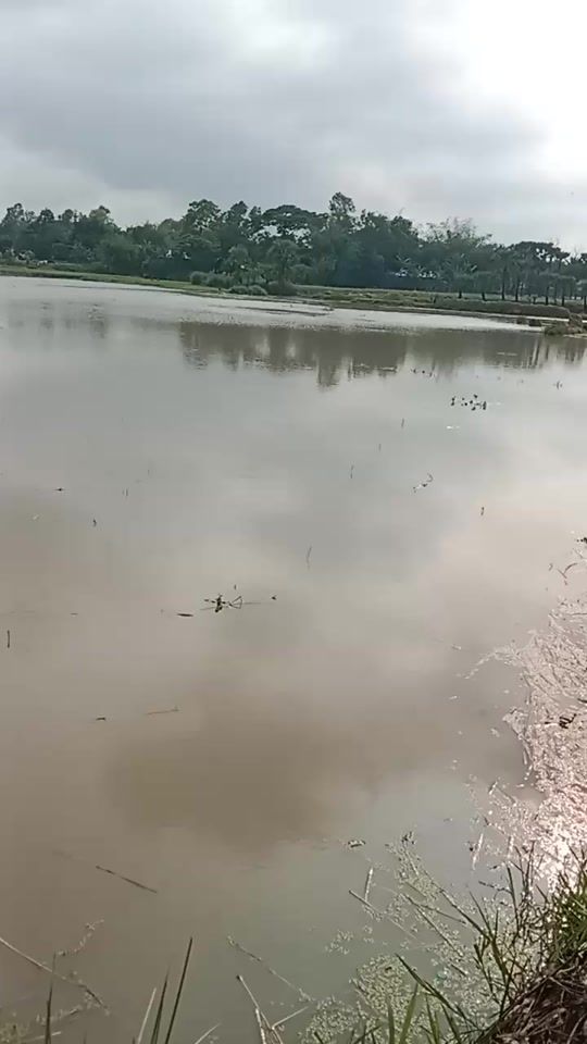 TikTok video thumbnail by md.omar.faruk0078