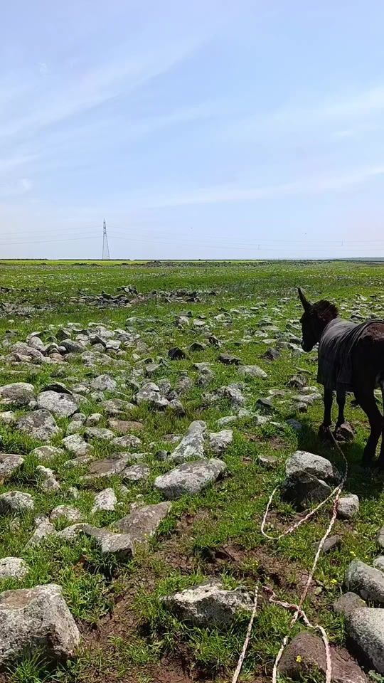 TikTok video thumbnail by dkk_82