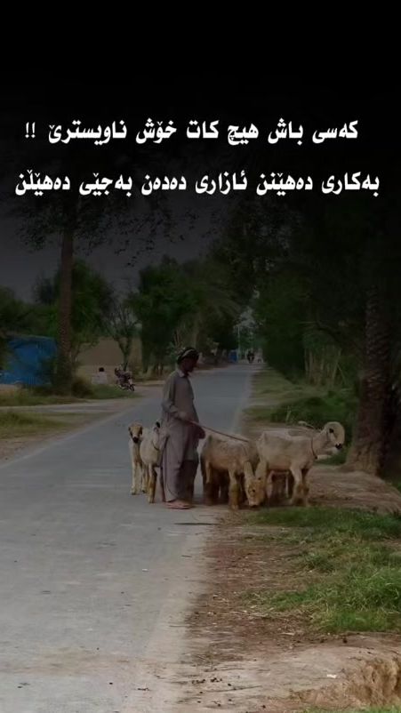 TikTok video thumbnail by hemn.world