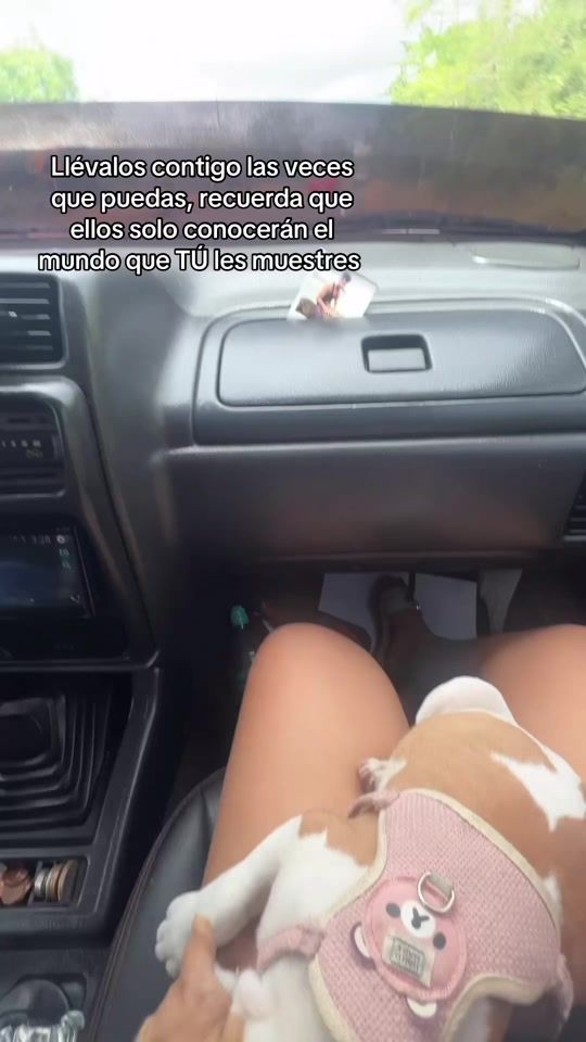 TikTok video thumbnail by koramv