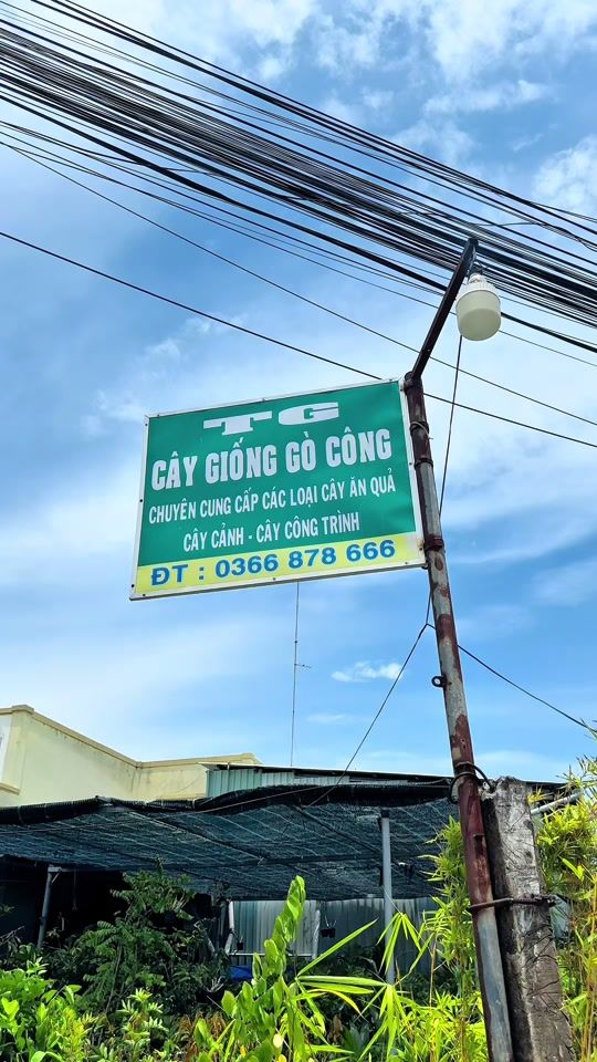 TikTok video thumbnail by tiengiang63b4