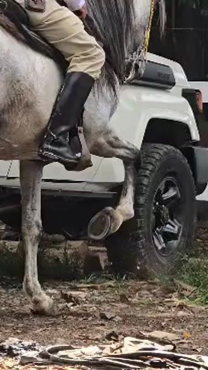 TikTok video thumbnail by francisco.chavez530