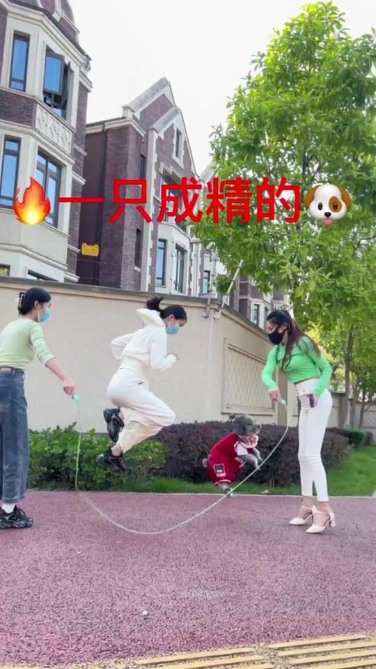 TikTok video thumbnail by susamojfjkc