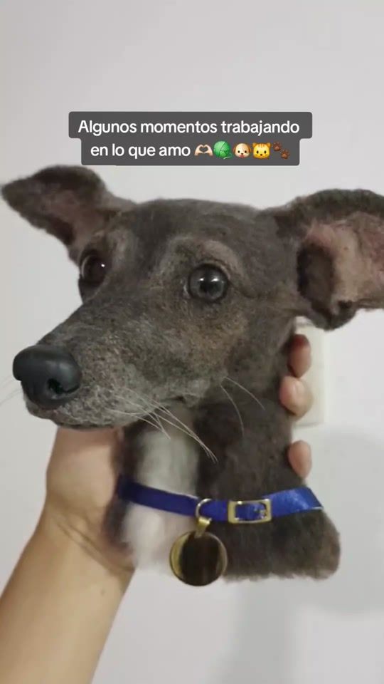 TikTok video thumbnail by misslanudos
