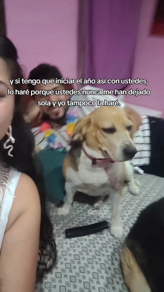 TikTok video thumbnail by aleehsaez