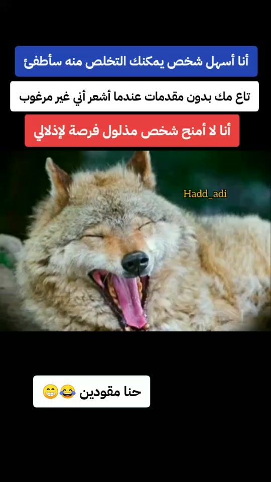 TikTok video thumbnail by ha_d_d_a_d_i