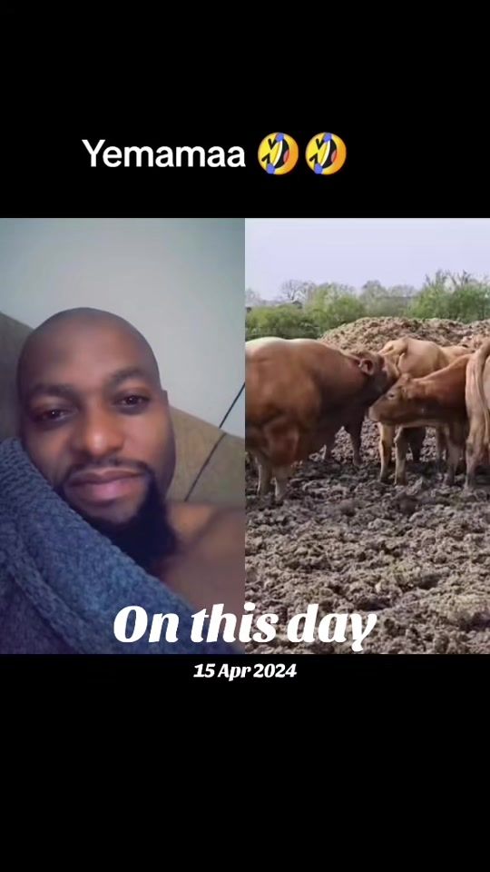 TikTok video thumbnail by cebomthethwa
