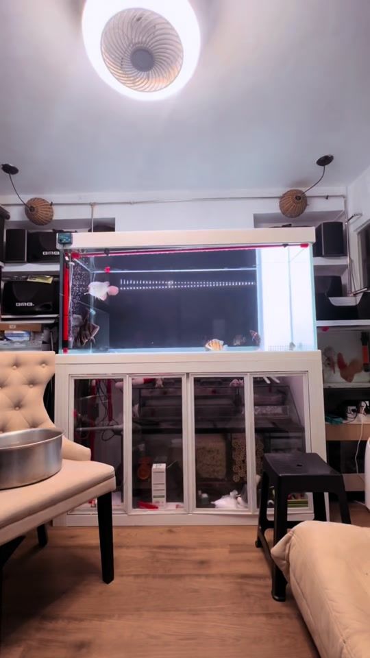 TikTok video thumbnail by zulkefli56